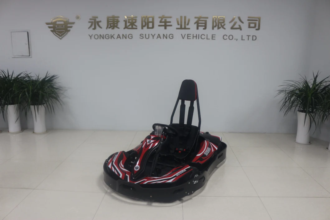 Suyang High Speed 60km/H Adult Racing Go Karts Big Battery Cart Amusement Park Electric Pedal Go Karting