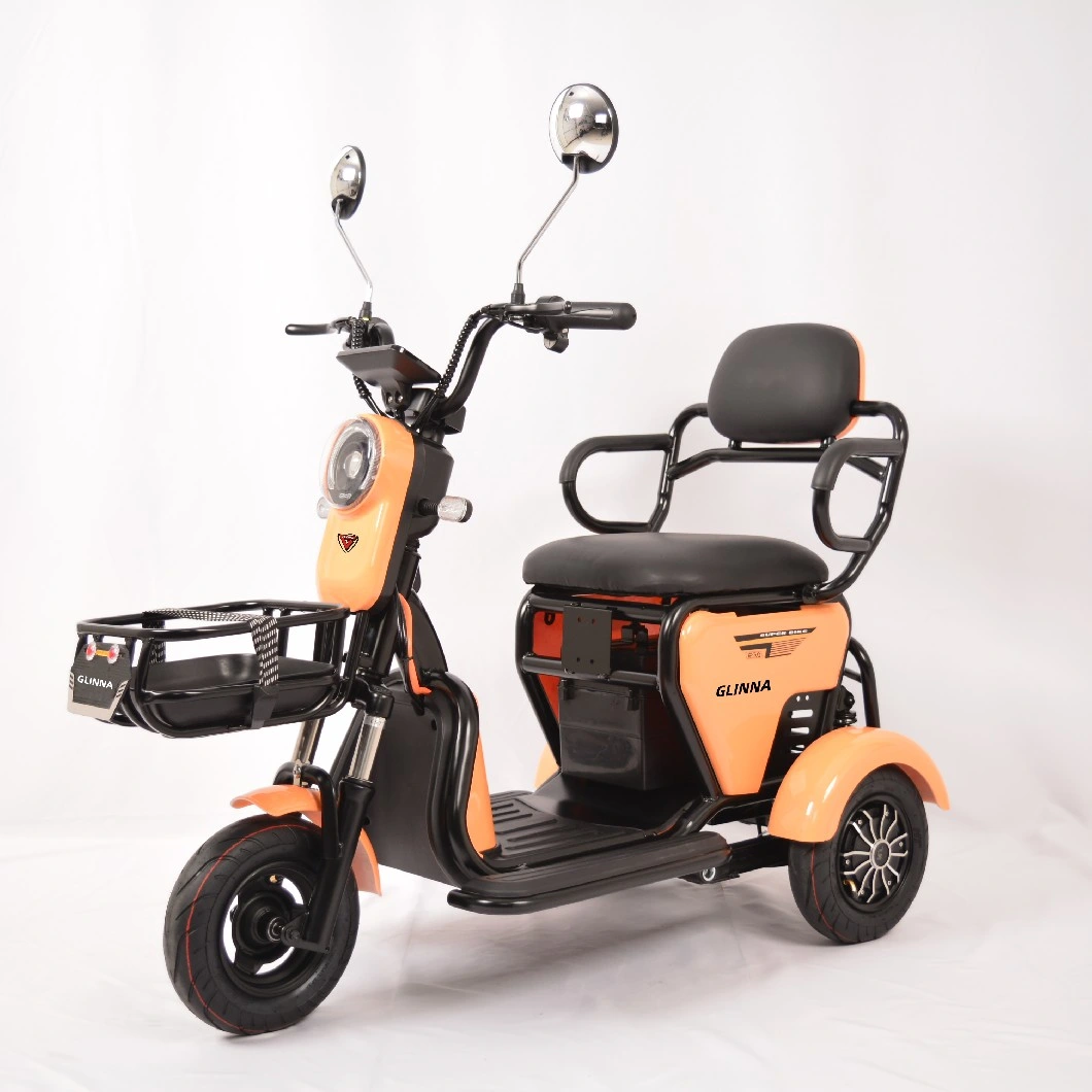 Latest Electric Tricycle 48V 350W Wholesale Factory Price