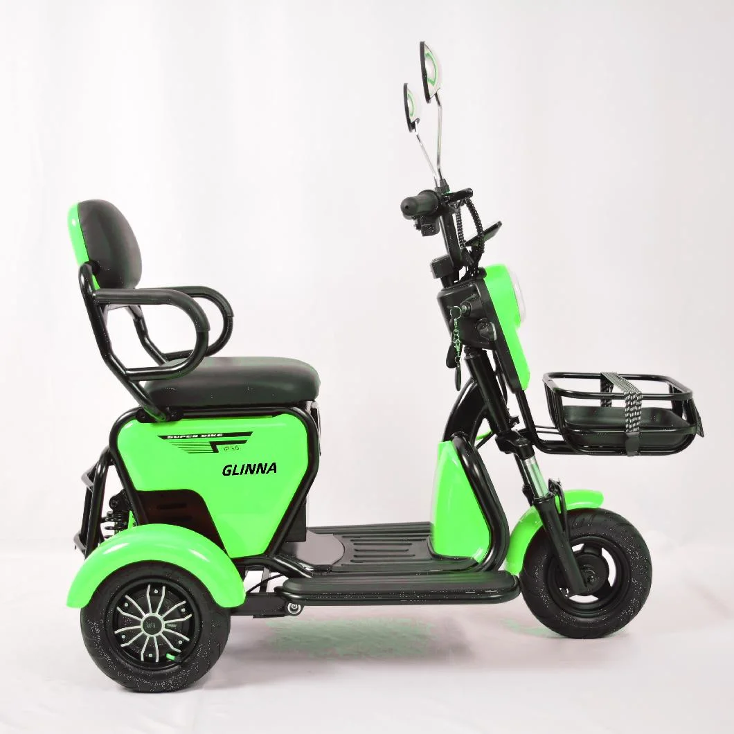 Latest Electric Tricycle 48V 350W Wholesale Factory Price