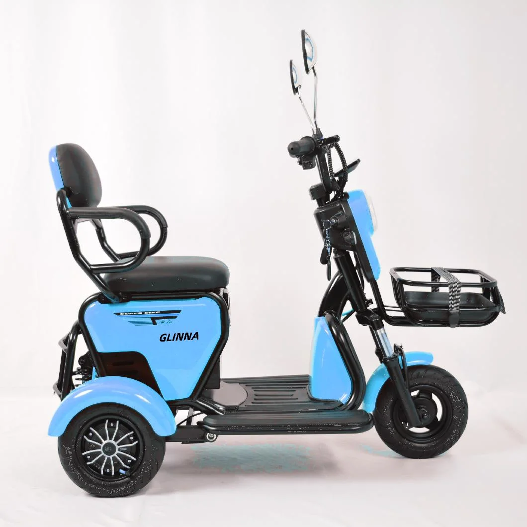 Latest Electric Tricycle 48V 350W Wholesale Factory Price