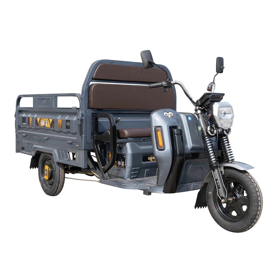 1000W Heavy Loading Electric Tricycle