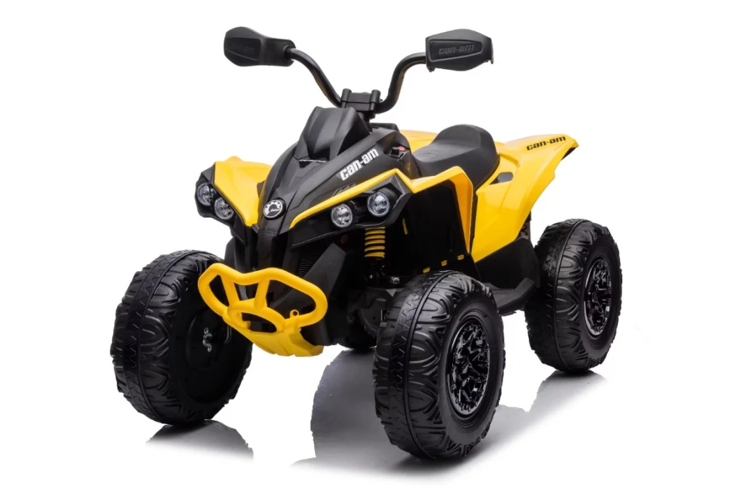 Best 24 Volt Kids Electric Ride on Toy Cars