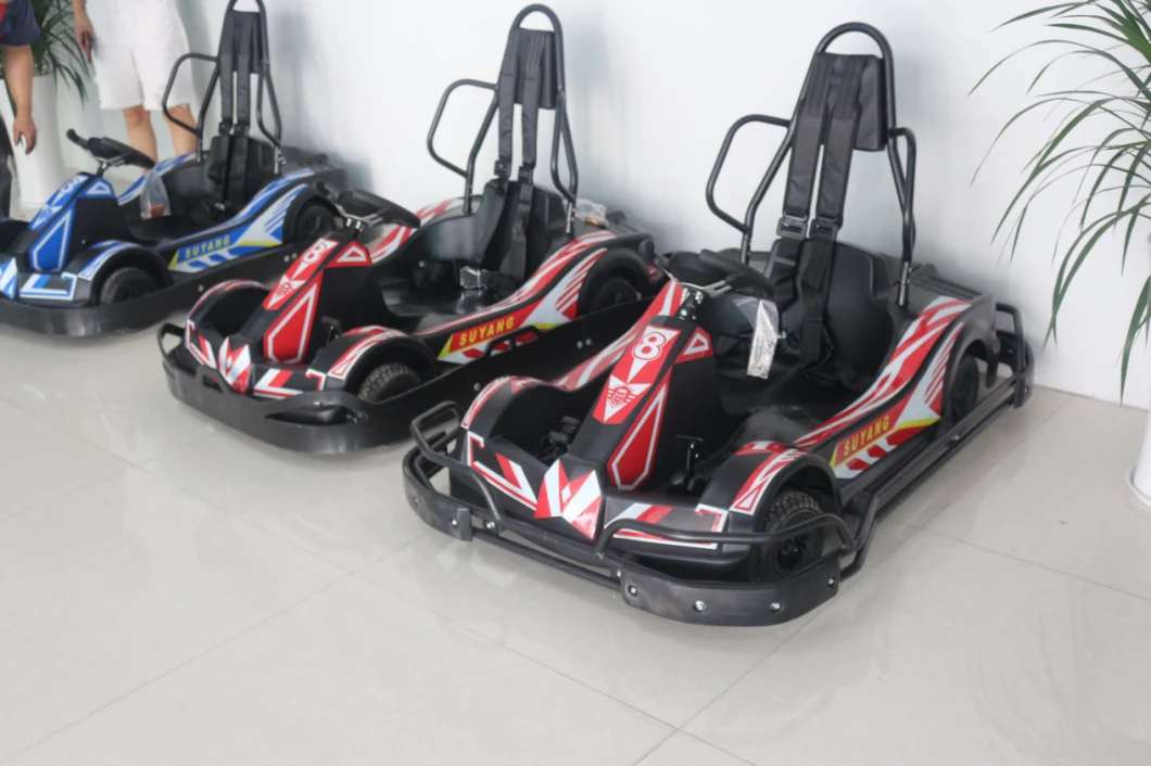 Suyang High Speed 60km/H Adult Racing Go Karts Big Battery Cart Amusement Park Electric Pedal Go Karting