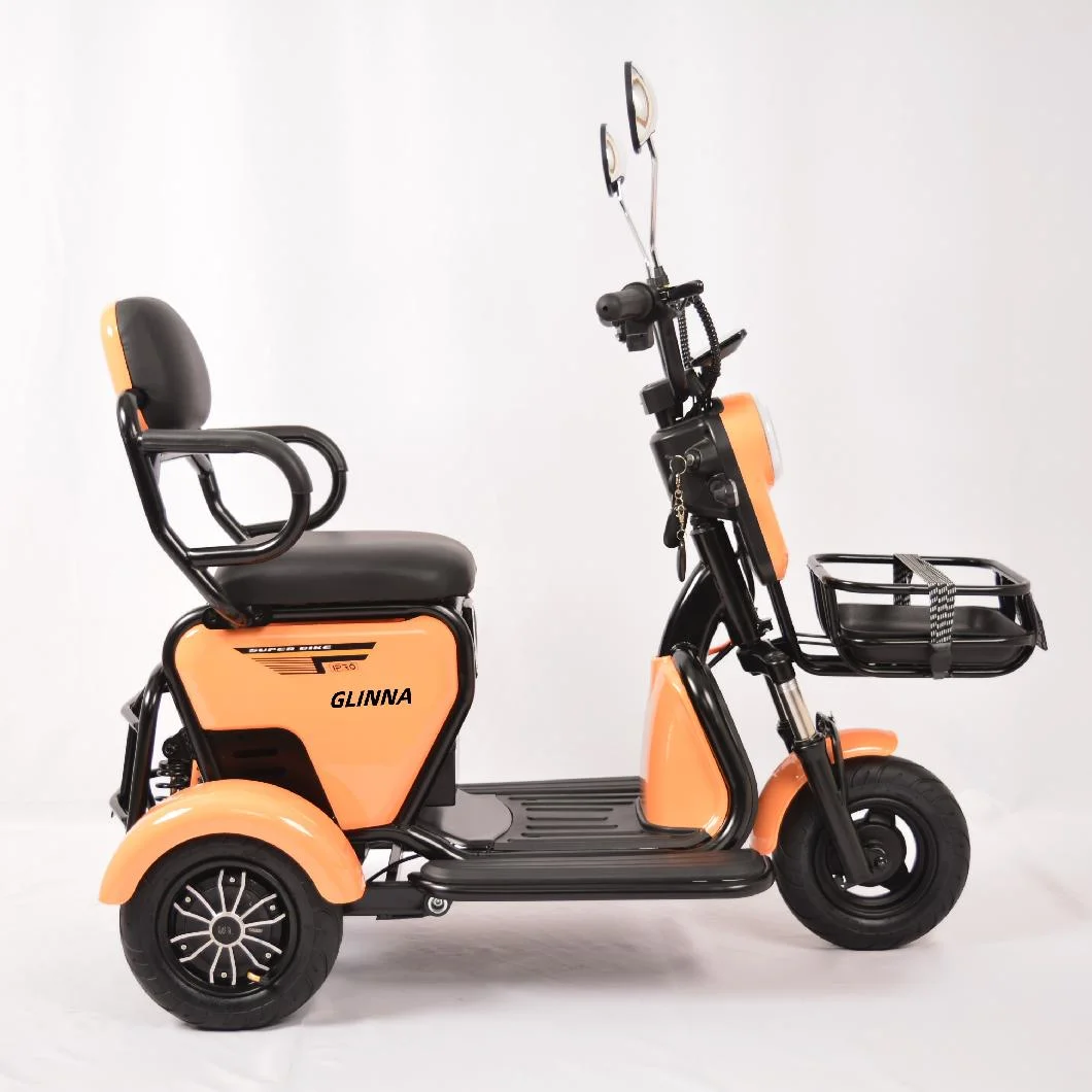 Latest Electric Tricycle 48V 350W Wholesale Factory Price