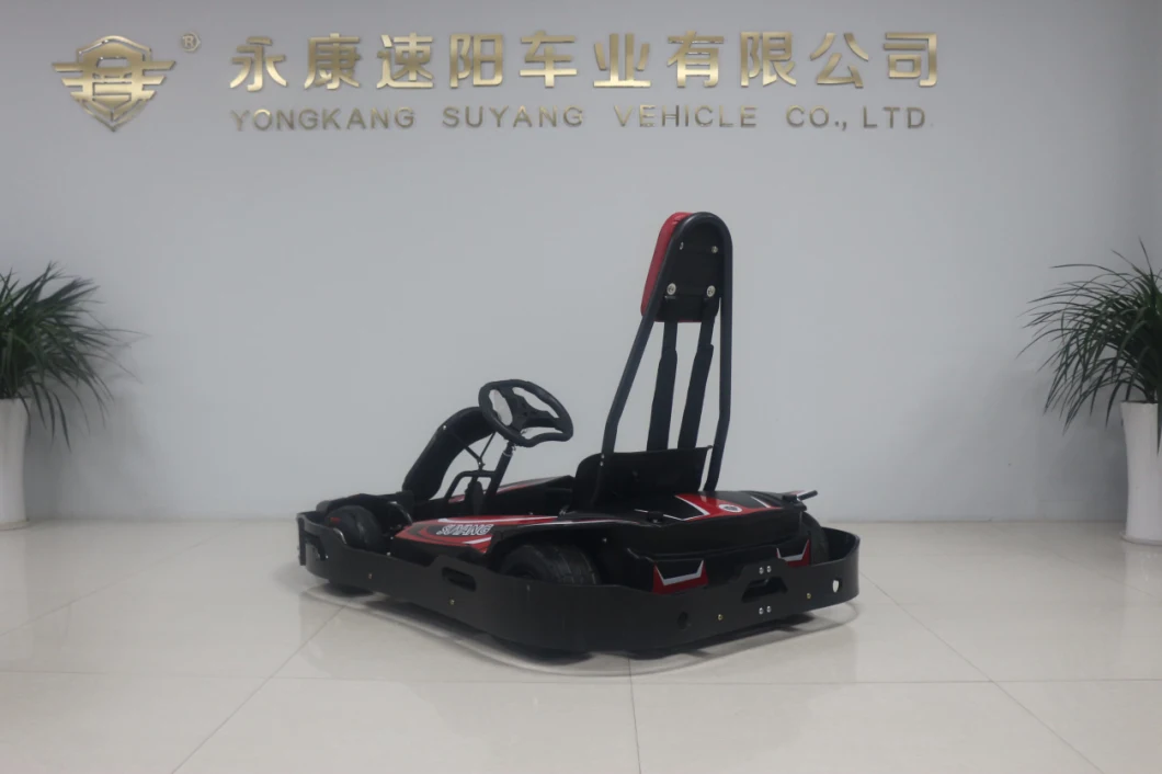 Suyang High Speed 60km/H Adult Racing Go Karts Big Battery Cart Amusement Park Electric Pedal Go Karting