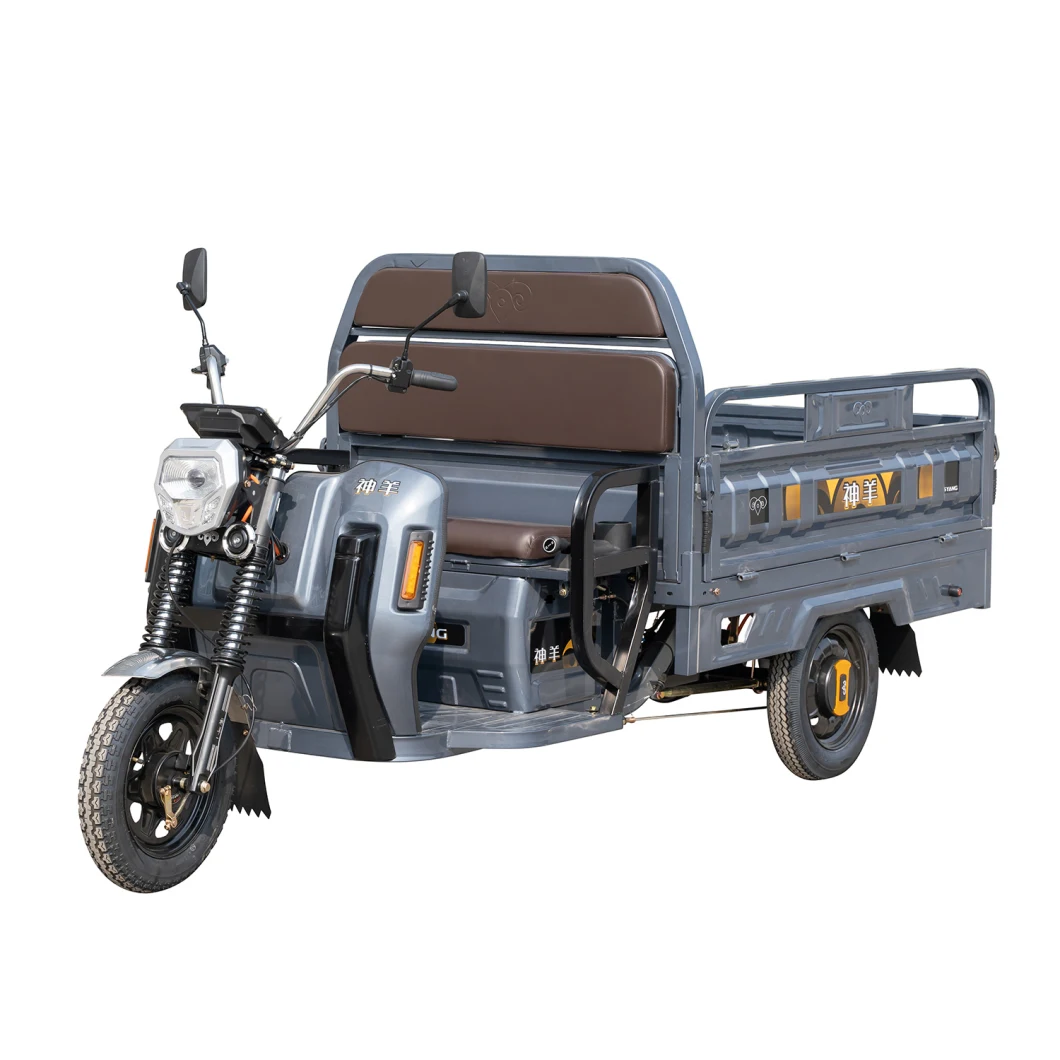 1000W Heavy Loading Electric Tricycle