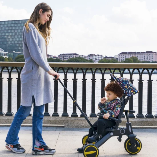 Triciclo de bebé con dosel Cochecito de bebé de 3 ruedas Empuje para padres Triciclo plegable para niños