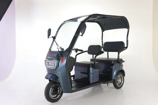 Triciclo motorizado de carga bicicleta eléctrica de tres ruedas eléctrica para adultos
