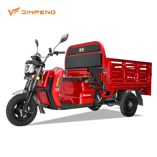Triciclo eléctrico de suministro de China Dls150 PRO Aprobación 2023 Nuevos recursos energéticos Cargador eléctrico de alta calidad para personalización básica de carga