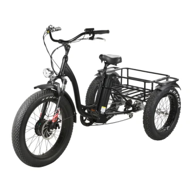 Ocio Zappy 4 ruedas eléctrico triciclo usado fabricante pasajero niños