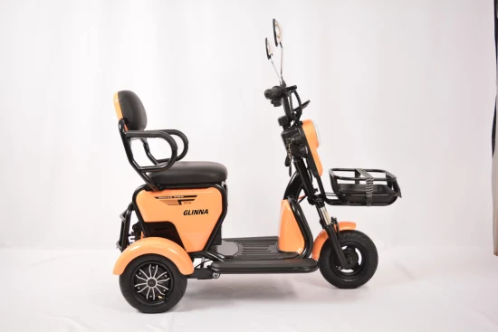 Popular nuevo triciclo eléctrico de alta calidad 48V 350W