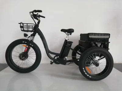 Suministros de fábrica, bicicleta eléctrica de tres ruedas de 500 W, Shimano para adultos de 7 velocidades, triciclo eléctrico de neumáticos gruesos