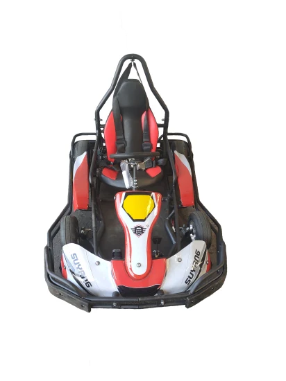 Última gran potencia 3000W batería Go Cart Pedal comercial Go Karts ATV traje de carreras eléctrico Go Karting para adultos